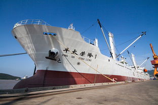首艘自主建造中国籍超低温金枪鱼冷藏运输船启航